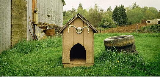 《星球大战绝地：幸存者》TGA将首曝实机 新截图公开